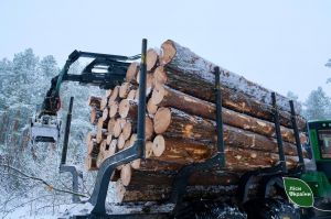 «Взаємодія між лісівниками та деревообробниками налагоджена – успішно запроваджуємо піврічні контракти», – Василь Гончар